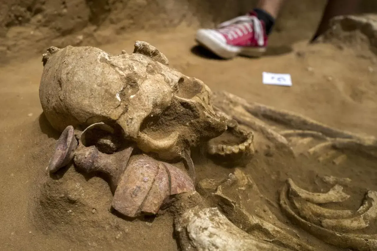 121027786-21a7152e-3506-49b6-bc45-826c0a7b6ef0