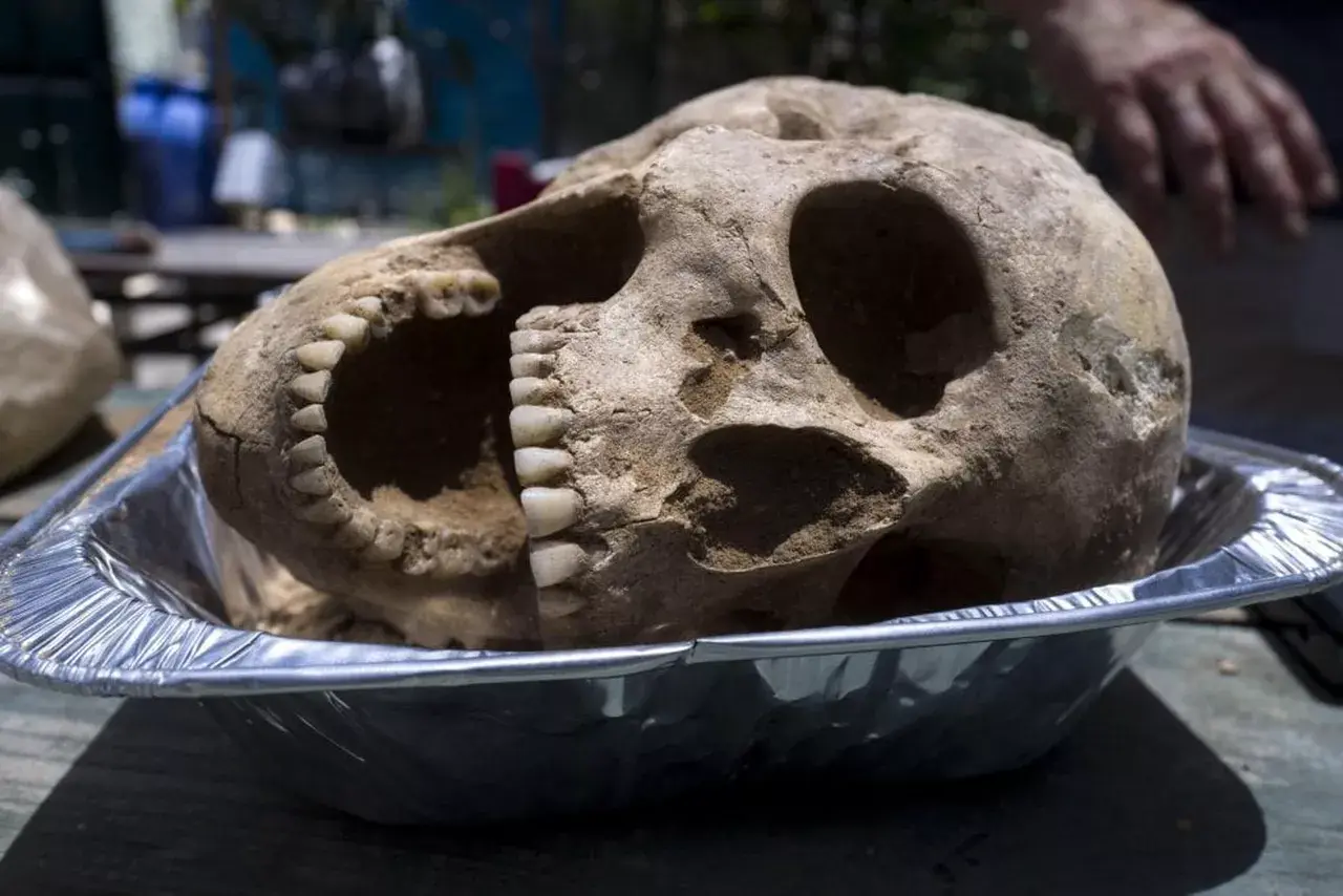 121030199-39d6b5f1-09d6-4c36-947f-733fc5d140ed