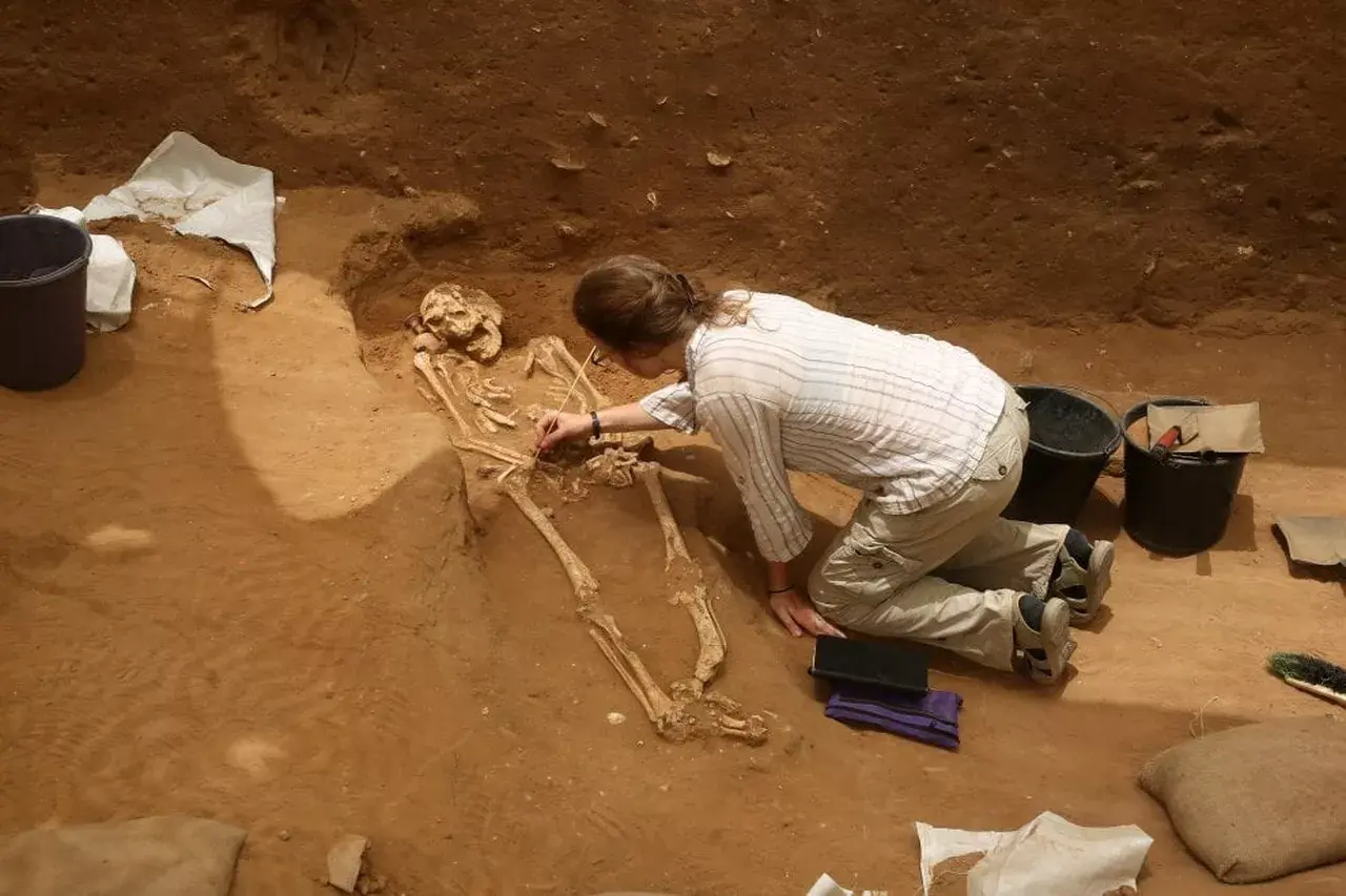 121036218-79bb83ef-3730-49e3-8996-c5edbd3b2133