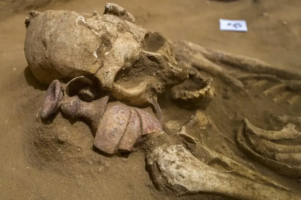 121036937-7ab69414-4022-4546-aefa-c5d6332898eb